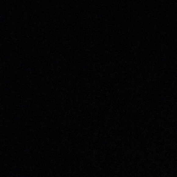 Meet your Posher, Rudy - Picture 1 of 1